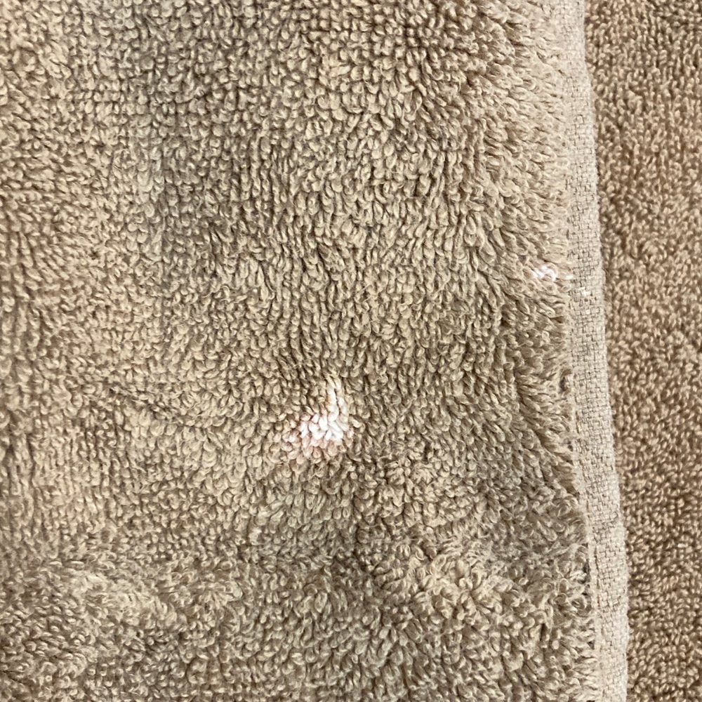 3 Bath Sheets-Better Homes and Gardens Lt Brown - Picture 4 of 6